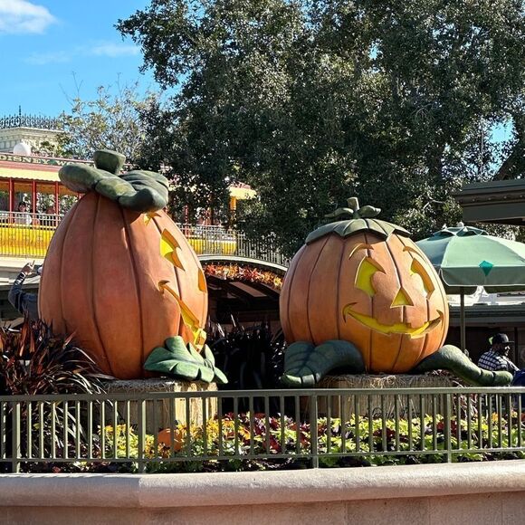 Happy time  - Picture 3 of 14